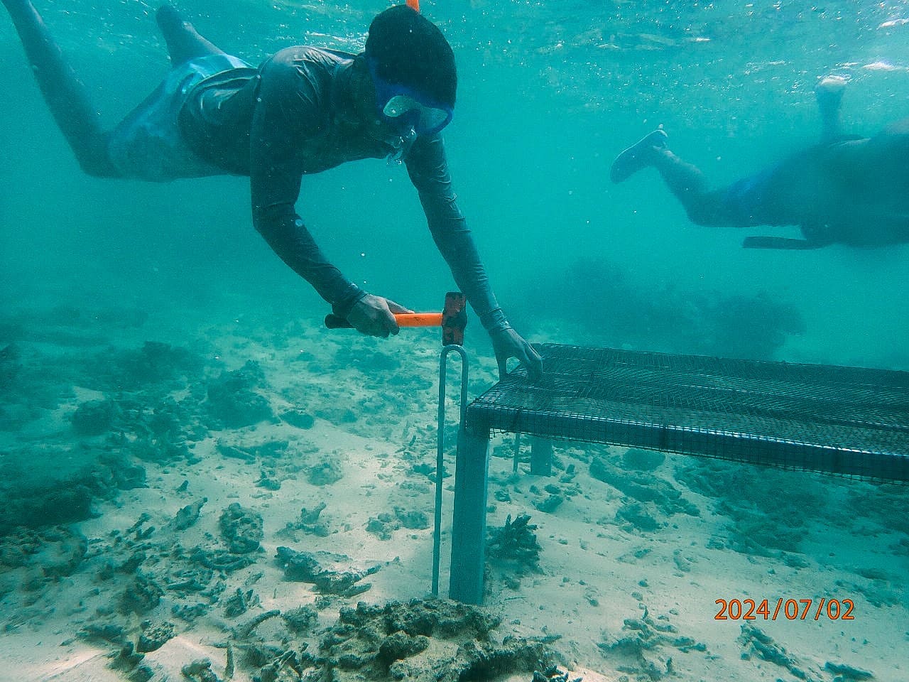 Coral Nursery(1)