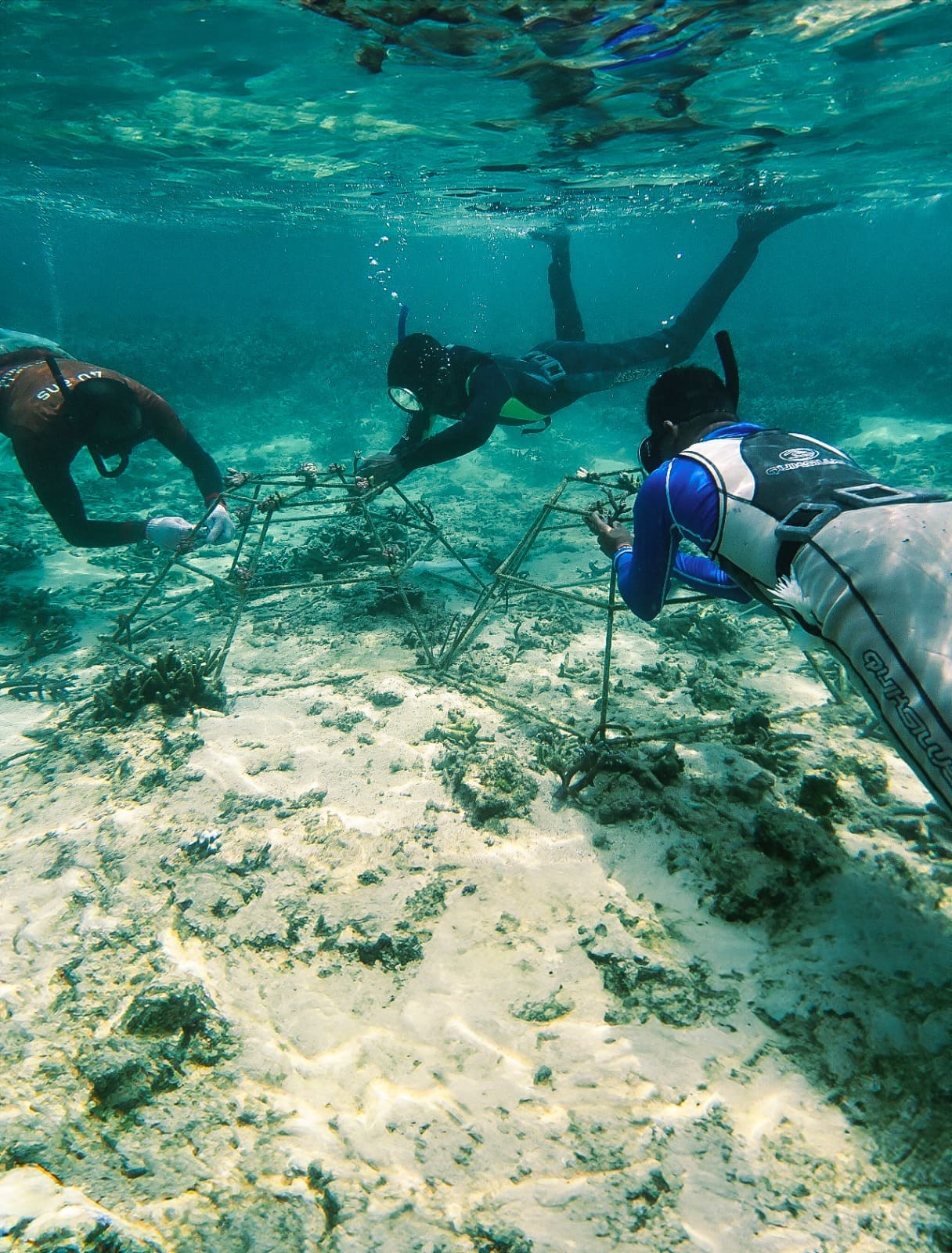 Coral Nursery(2)